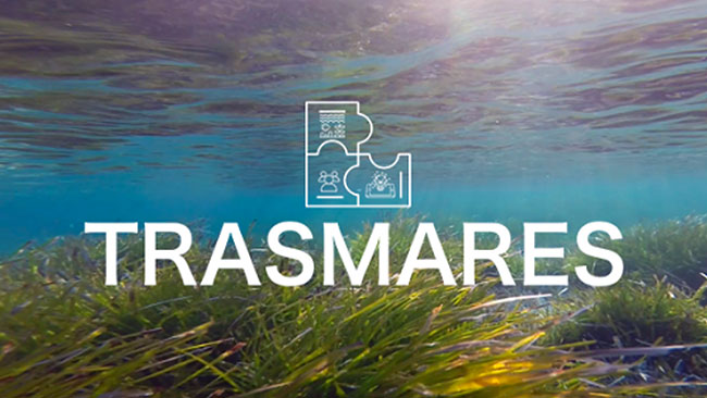 First Trasmares course on sustainability of marine and coastal ecosystems.