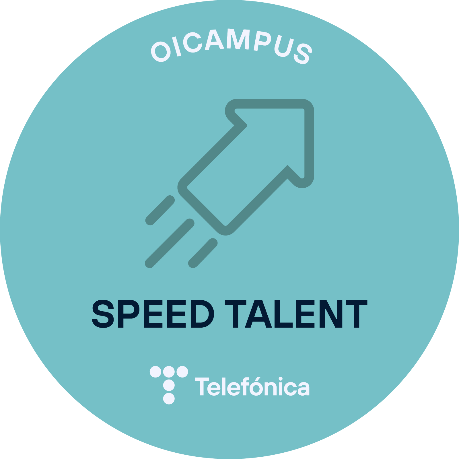 Insignia de reconocimiento